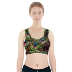 Peacock Feathers Color Plumage Sports Bra With Pocket