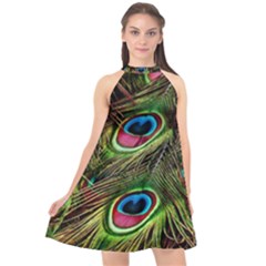 Peacock Feathers Color Plumage Halter Neckline Chiffon Dress 