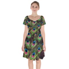 Peacock Feathers Color Plumage Short Sleeve Bardot Dress