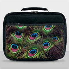 Peacock Feathers Color Plumage Lunch Bag