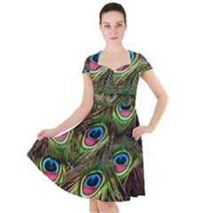 Peacock Feathers Color Plumage Cap Sleeve Midi Dress