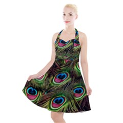 Peacock Feathers Color Plumage Halter Party Swing Dress  by Celenk