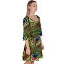 Peacock Feathers Color Plumage Velour Kimono Dress View3