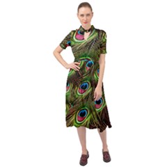 Peacock Feathers Color Plumage Keyhole Neckline Chiffon Dress