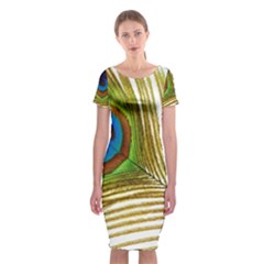 Peacock Feather Plumage Colorful Classic Short Sleeve Midi Dress by Sapixe