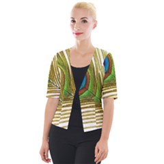 Peacock Feather Plumage Colorful Cropped Button Cardigan by Sapixe