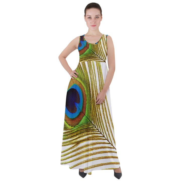 Peacock Feather Plumage Colorful Empire Waist Velour Maxi Dress