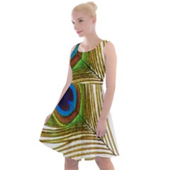 Peacock Feather Plumage Colorful Knee Length Skater Dress