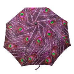 Peacock Feathers Color Plumage Folding Umbrellas by Sapixe