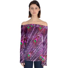 Peacock Feathers Color Plumage Off Shoulder Long Sleeve Top by Sapixe