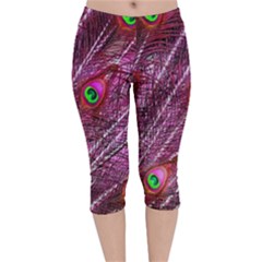 Peacock Feathers Color Plumage Velvet Capri Leggings  by Sapixe