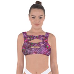 Peacock Feathers Color Plumage Bandaged Up Bikini Top