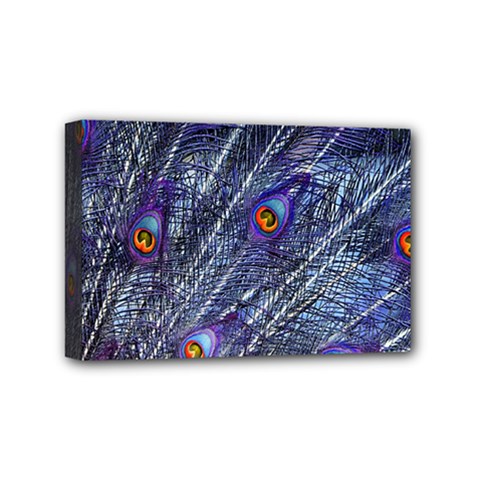 Peacock Feathers Color Plumage Blue Mini Canvas 6  X 4  (stretched) by Sapixe