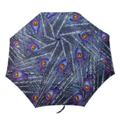 Peacock Feathers Color Plumage Blue Folding Umbrellas by Sapixe