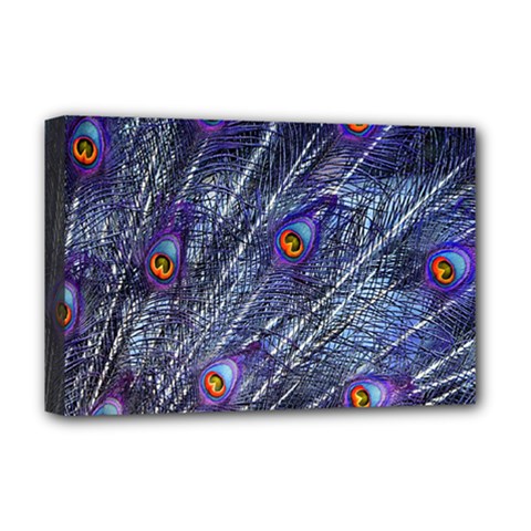 Peacock Feathers Color Plumage Blue Deluxe Canvas 18  X 12  (stretched) by Sapixe