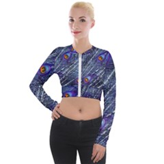 Peacock Feathers Color Plumage Blue Long Sleeve Cropped Velvet Jacket by Sapixe