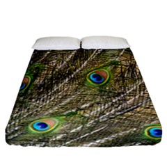 Peacock Feathers Color Plumage Green Fitted Sheet (california King Size) by Sapixe