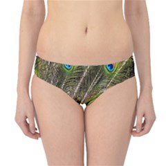 Peacock Feathers Color Plumage Green Hipster Bikini Bottoms by Sapixe