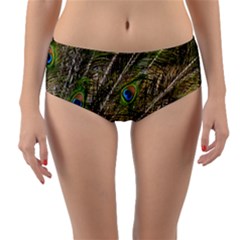 Peacock Feathers Color Plumage Green Reversible Mid-waist Bikini Bottoms by Sapixe