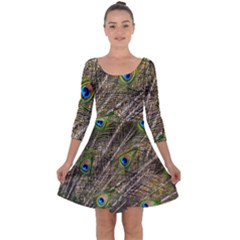 Peacock Feathers Color Plumage Green Quarter Sleeve Skater Dress by Sapixe