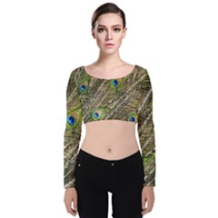 Peacock Feathers Color Plumage Green Velvet Long Sleeve Crop Top by Sapixe