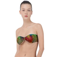 Texture Art Color Pattern Classic Bandeau Bikini Top 