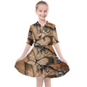 Wonderful Floral Design With Butterflies Kids  All Frills Chiffon Dress View1