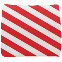 Candy Cane Red White Line Stripes Pattern Peppermint Christmas Delicious Design Seat Cushion by genx