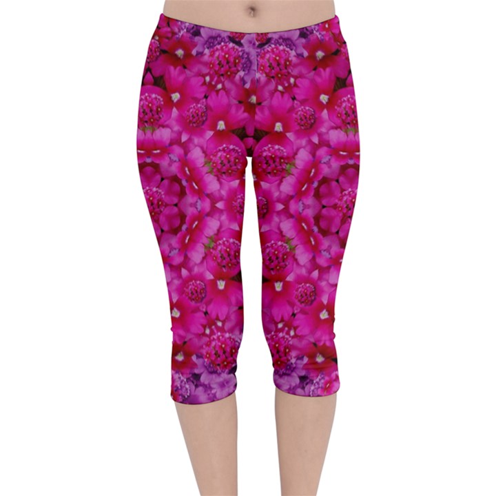 Flower Suprise To Love And Enjoy Velvet Capri Leggings 