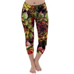 Plant Succulents Succulent Capri Winter Leggings  by Wegoenart