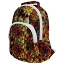 Plant Succulents Succulent Rounded Multi Pocket Backpack View1