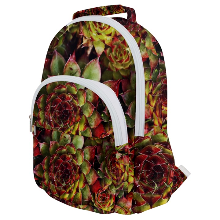 Plant Succulents Succulent Rounded Multi Pocket Backpack