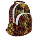 Plant Succulents Succulent Rounded Multi Pocket Backpack View2