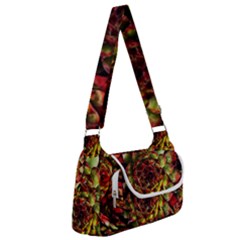 Plant Succulents Succulent Multipack Bag by Wegoenart