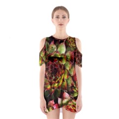 Plant Succulents Succulent Shoulder Cutout One Piece Dress by Wegoenart