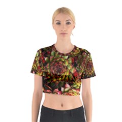 Plant Succulents Succulent Cotton Crop Top by Wegoenart