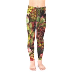 Plant Succulents Succulent Kids  Leggings by Wegoenart