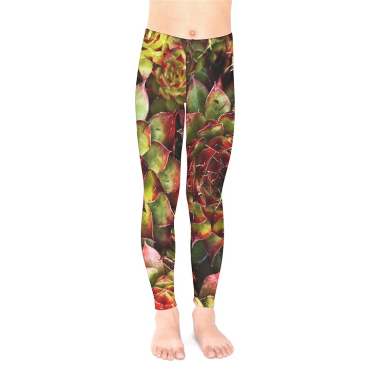 Plant Succulents Succulent Kids  Leggings