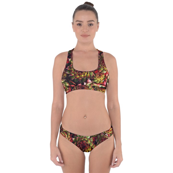 Plant Succulents Succulent Cross Back Hipster Bikini Set