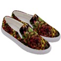 Plant Succulents Succulent Men s Canvas Slip Ons View3