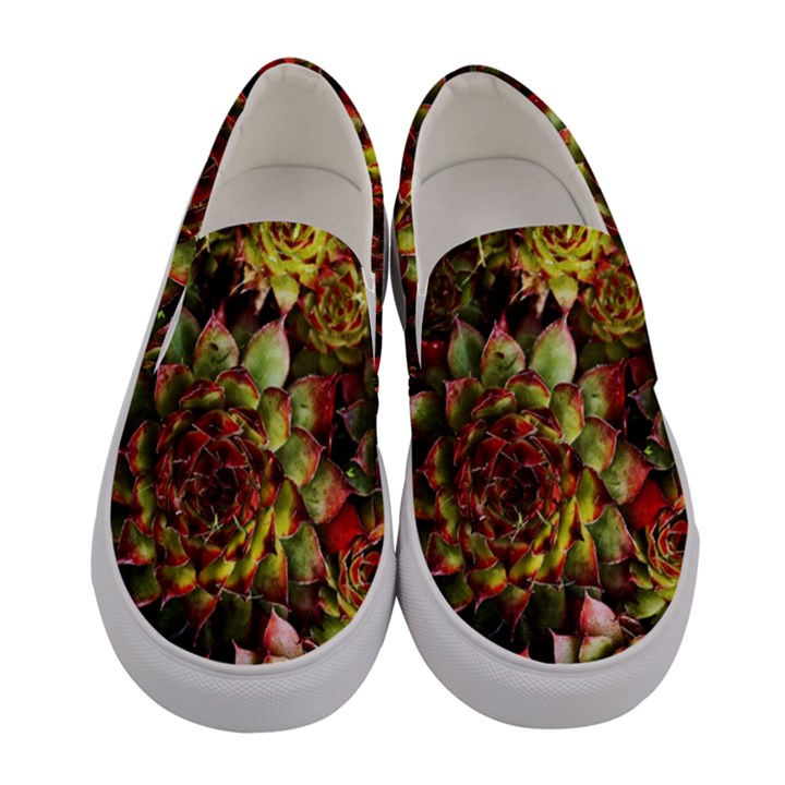 Plant Succulents Succulent Women s Canvas Slip Ons