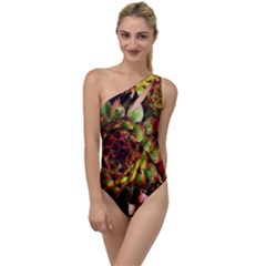 Plant Succulents Succulent To One Side Swimsuit by Wegoenart