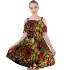 Plant Succulents Succulent Cut Out Shoulders Chiffon Dress