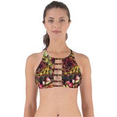 Plant Succulents Succulent Perfectly Cut Out Bikini Top