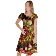 Plant Succulents Succulent Classic Short Sleeve Dress