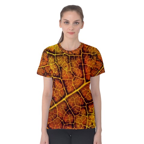 Autumn Leaves Forest Fall Color Women s Cotton Tee by Wegoenart