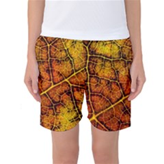 Autumn Leaves Forest Fall Color Women s Basketball Shorts by Wegoenart