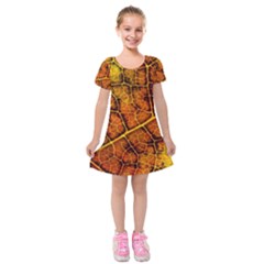 Autumn Leaves Forest Fall Color Kids  Short Sleeve Velvet Dress by Wegoenart