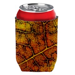 Autumn Leaves Forest Fall Color Can Holder