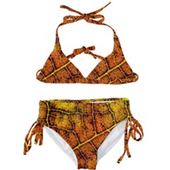 Autumn Leaves Forest Fall Color Kids  Classic Bikini Set by Wegoenart